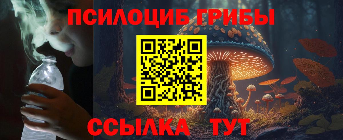 Псилоцибиновые грибы мицелий  Псилоцибиновые грибы прущие грибы  Вход с VPN  Кинель 